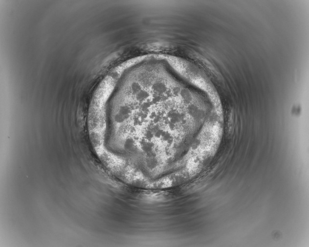 X0000093100569200710241223