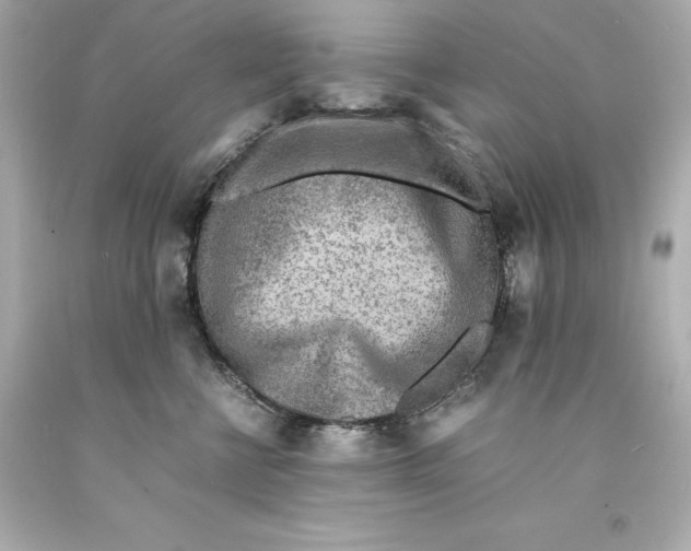 X0000093100570200710241223