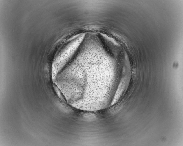 X0000093100572200710241223