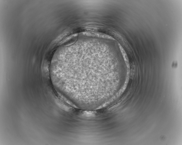 X0000093100573200710241223