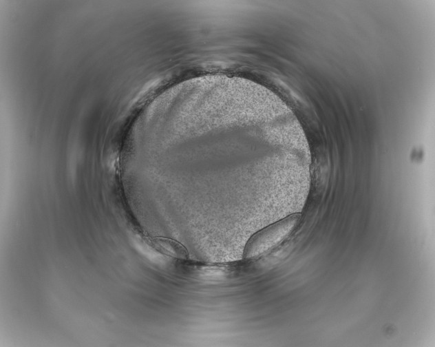 X0000093100574200710241223