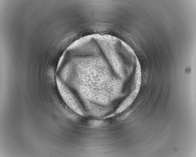 X0000093100575200710241223