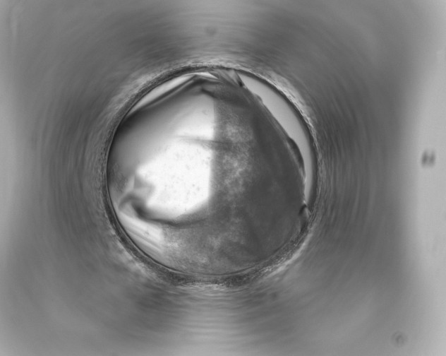 X0000093100577200710241223