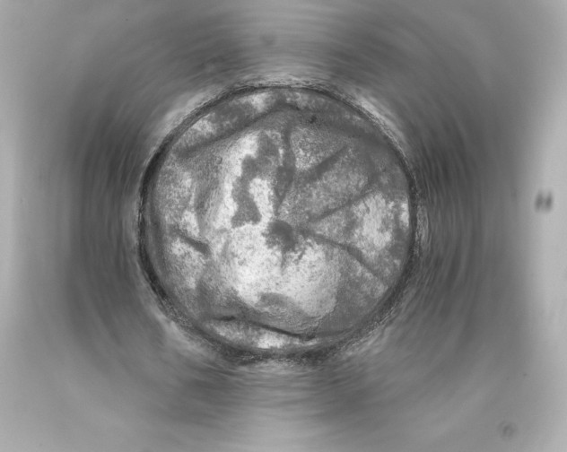 X0000093100578200710241223