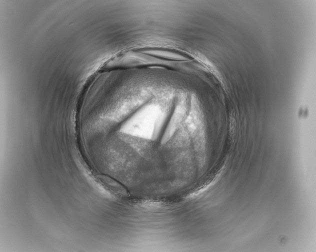 X0000093100581200710241223