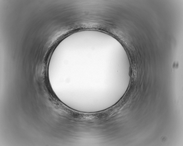 X0000093100583200710241223