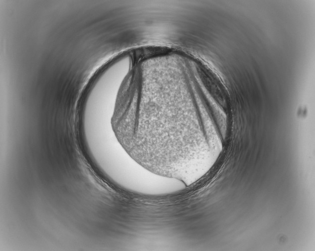 X0000093100584200710241222
