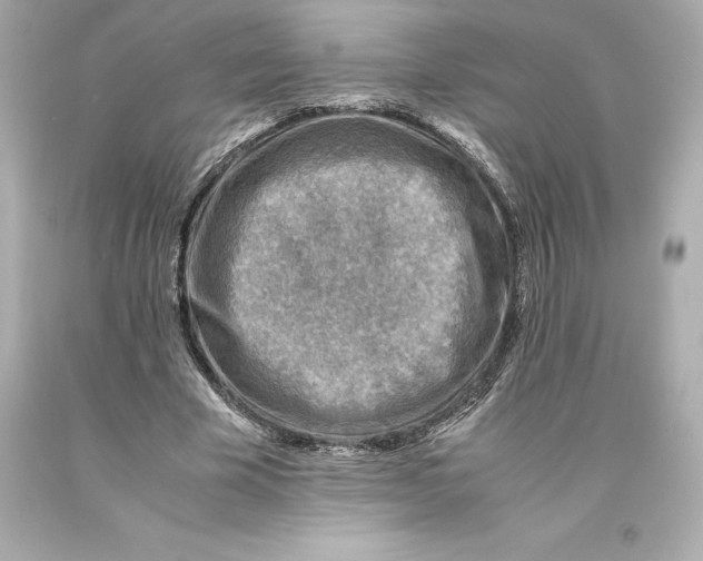 X0000093100585200710241222
