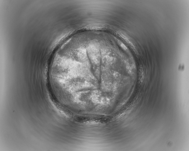 X0000093100586200710241222