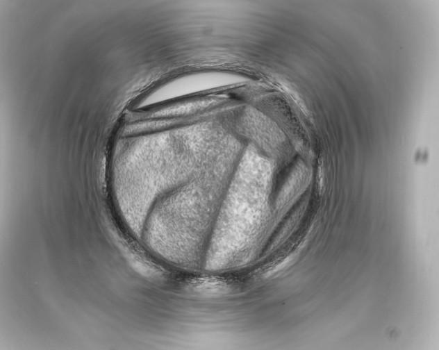 X0000093100589200710241222