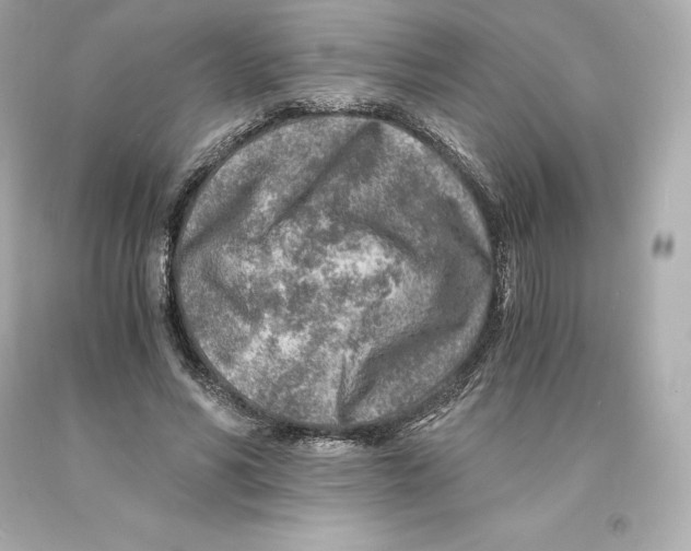 X0000093100590200710241222