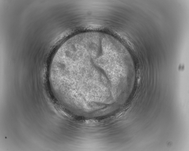 X0000093100591200710241222
