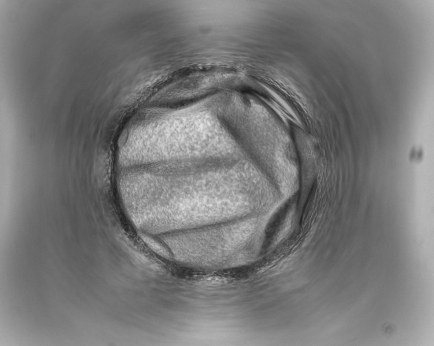 X0000093100593200710241222