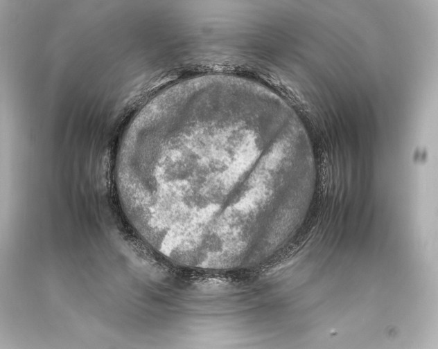 X0000093100594200710241222