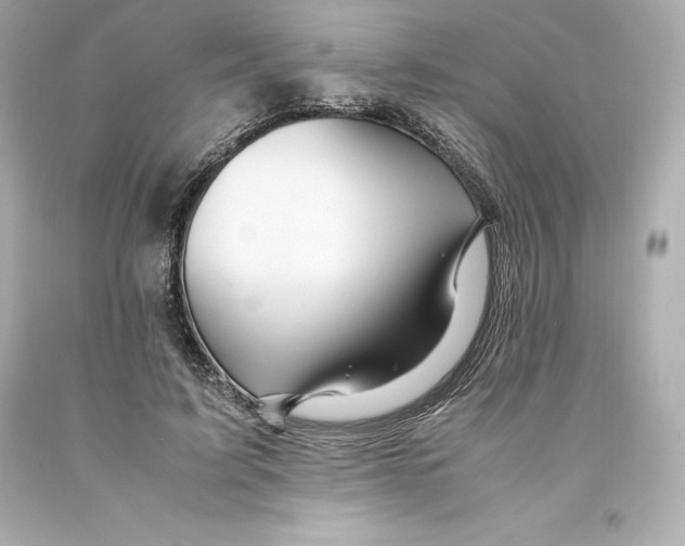 X0000093100595200710241222
