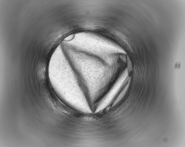 X0000093100596200710241222