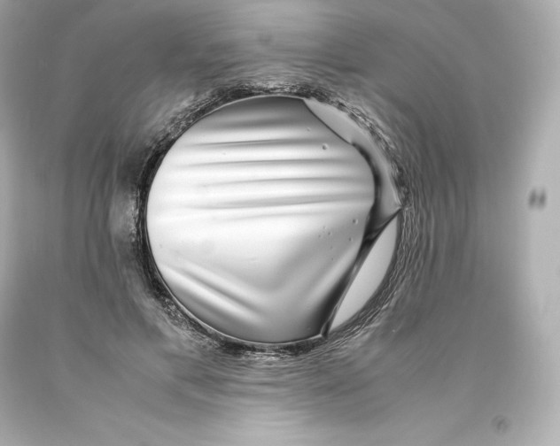 X0000093100597200710241222