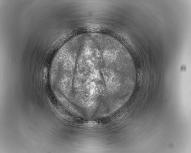 X0000093100598200710241222