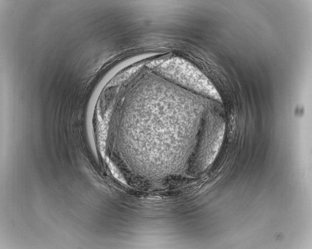 X0000093100600200710241222