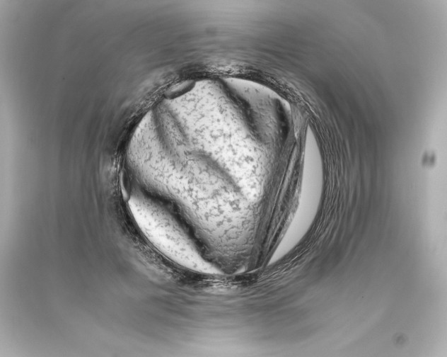 X0000093100601200710241222