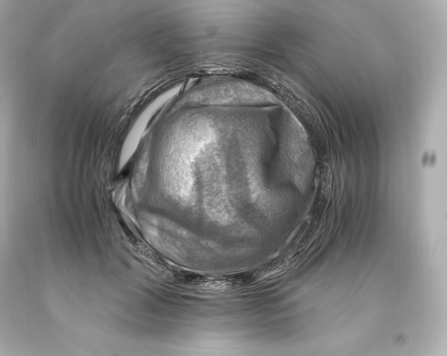 X0000093100604200710241222