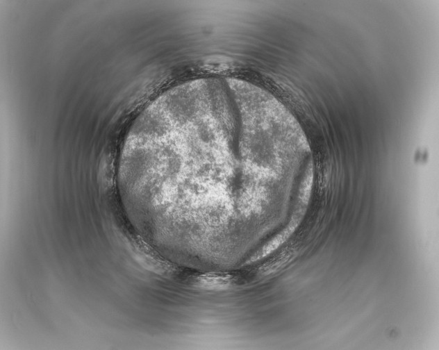 X0000093100606200710241222