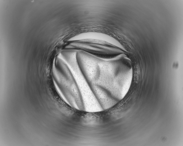 X0000093100608200710241222