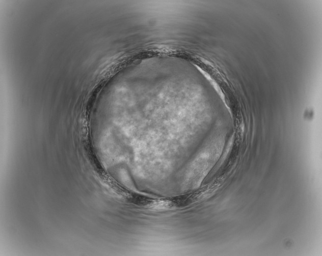 X0000093100609200710241222