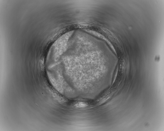 X0000093100610200710241222