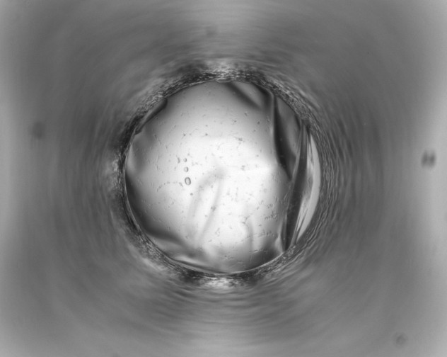 X0000093100611200710241222