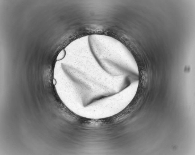 X0000093100612200710241222