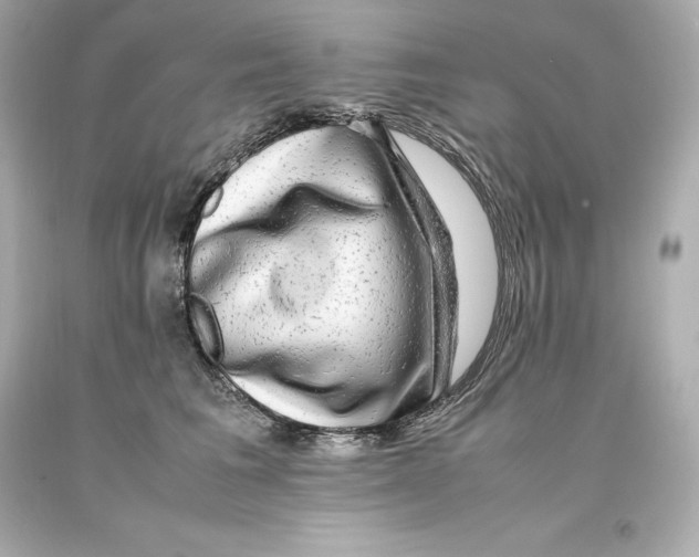 X0000093100613200710241222
