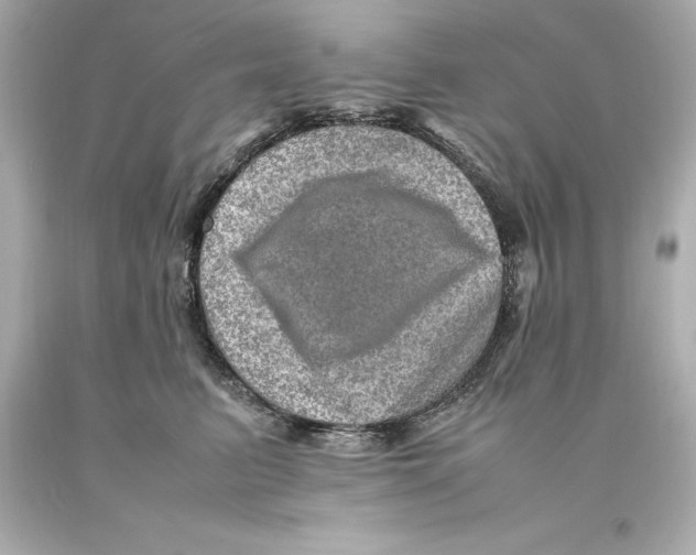 X0000093100615200710241222