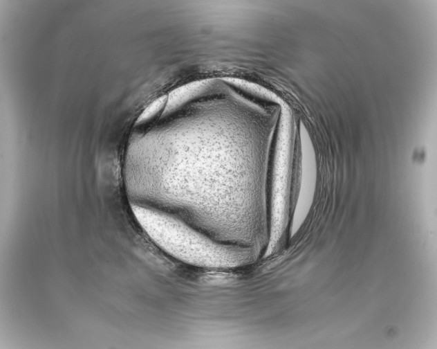 X0000093100617200710241222