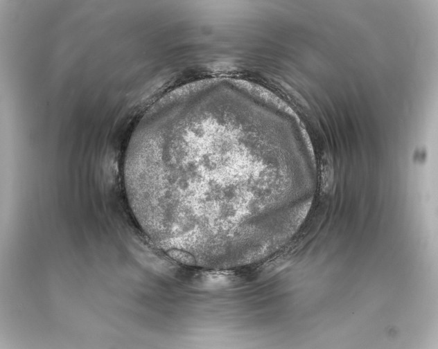 X0000093100618200710241222