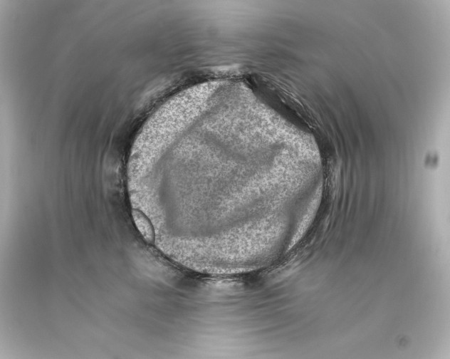 X0000093100619200710241222