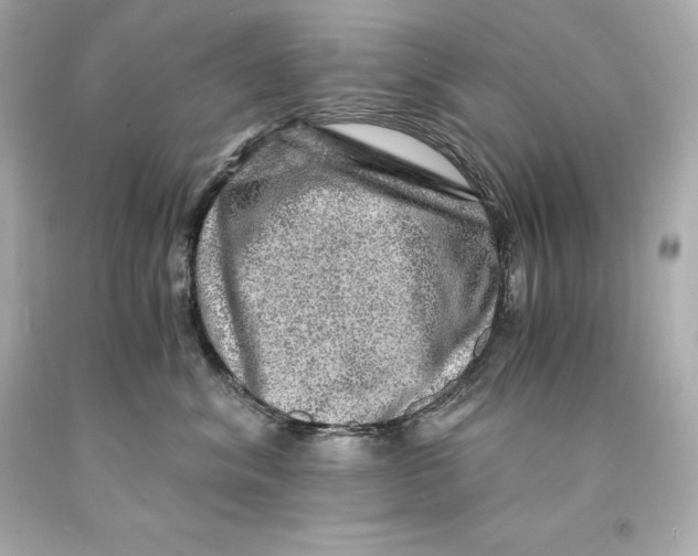 X0000093100620200710241222