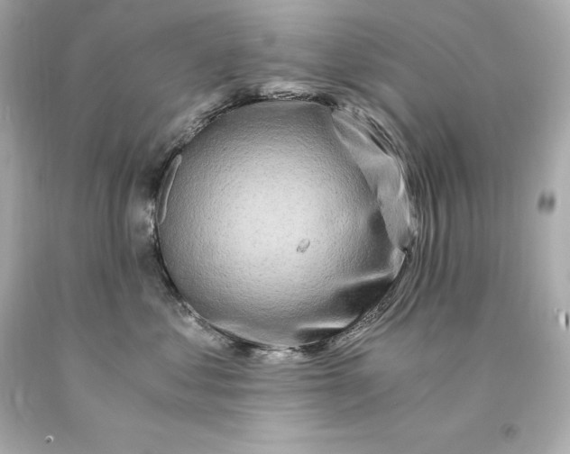 X0000093100621200710241222