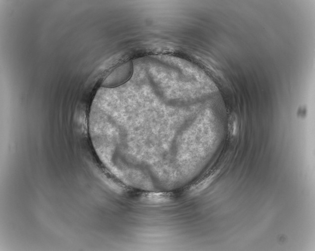 X0000093100622200710241222