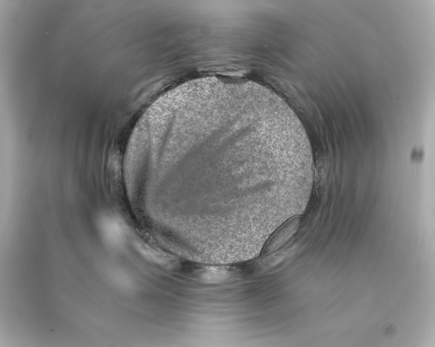 X0000093100623200710241222