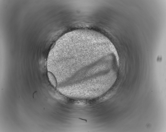 X0000093100624200710241222