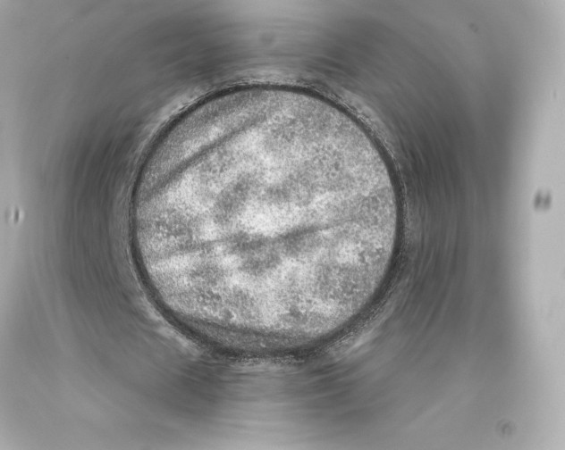 X0000093100625200710241221