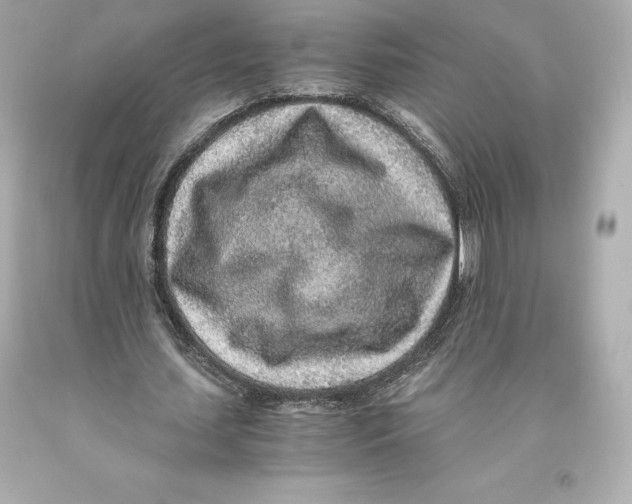 X0000093100627200710241221