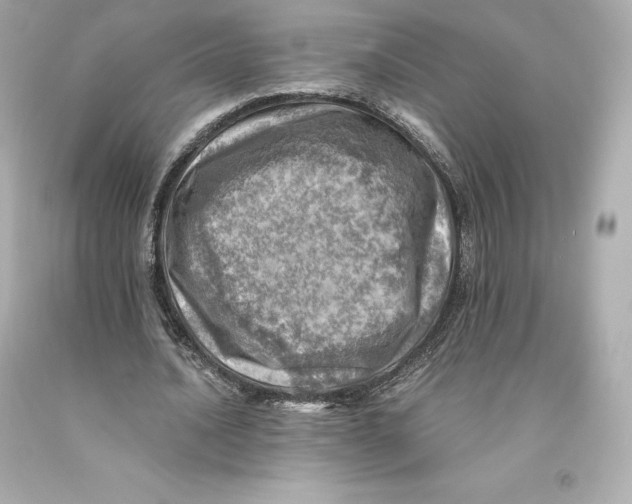 X0000093100628200710241221