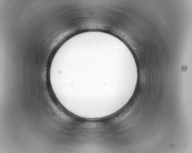 X0000093100629200710241221
