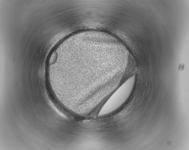 X0000093100630200710241221