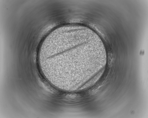 X0000093100631200710241221