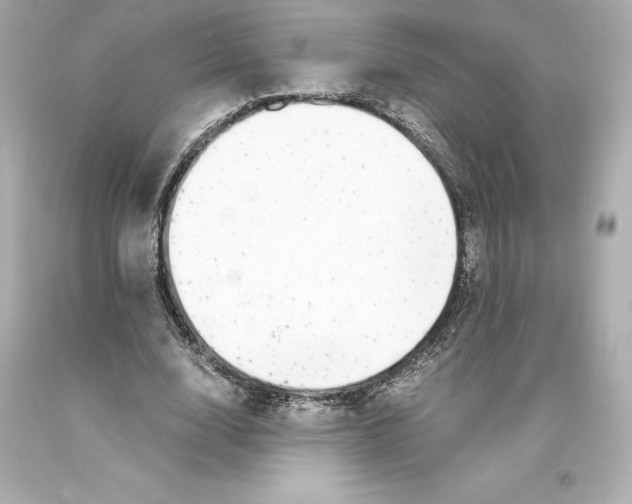X0000093100632200710241221