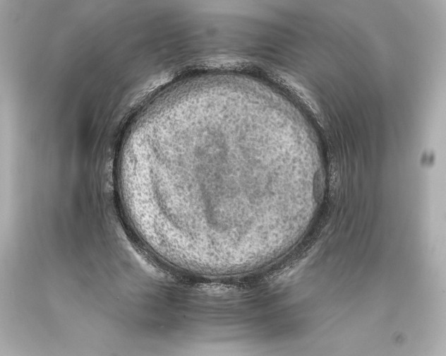 X0000093100633200710241221