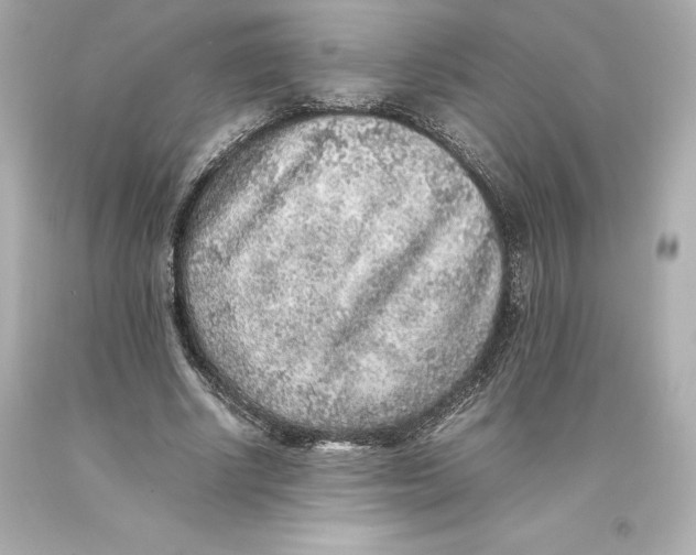 X0000093100634200710241222